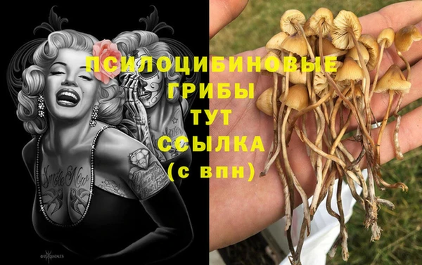 spice Богородицк