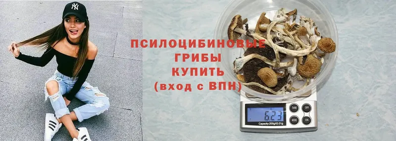 Галлюциногенные грибы Psilocybe  МЕГА зеркало  Почеп 